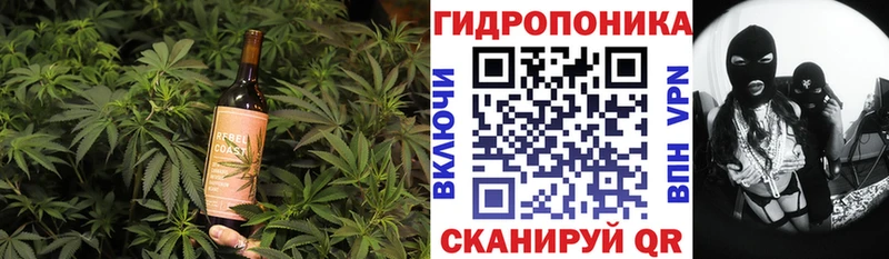 Cannafood конопля  Павловский Посад 