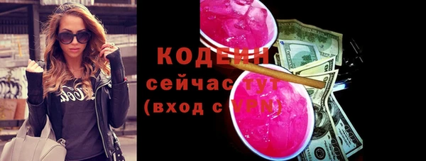 индика Володарск