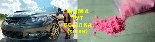 индика Володарск
