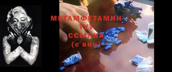 индика Володарск