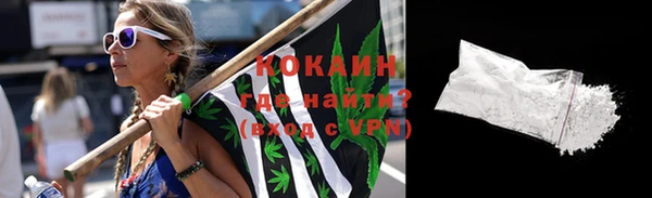 индика Володарск