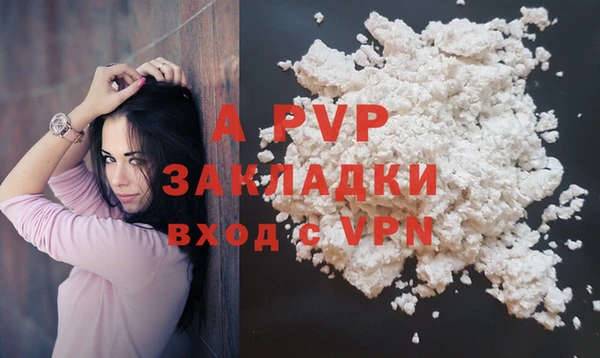 индика Володарск