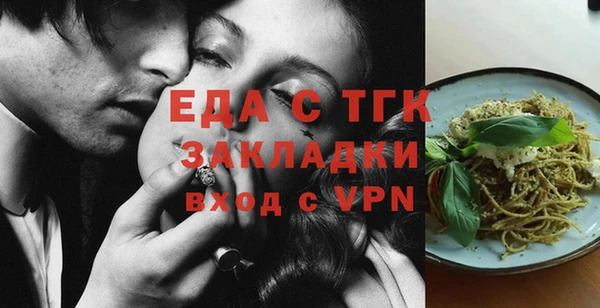индика Володарск